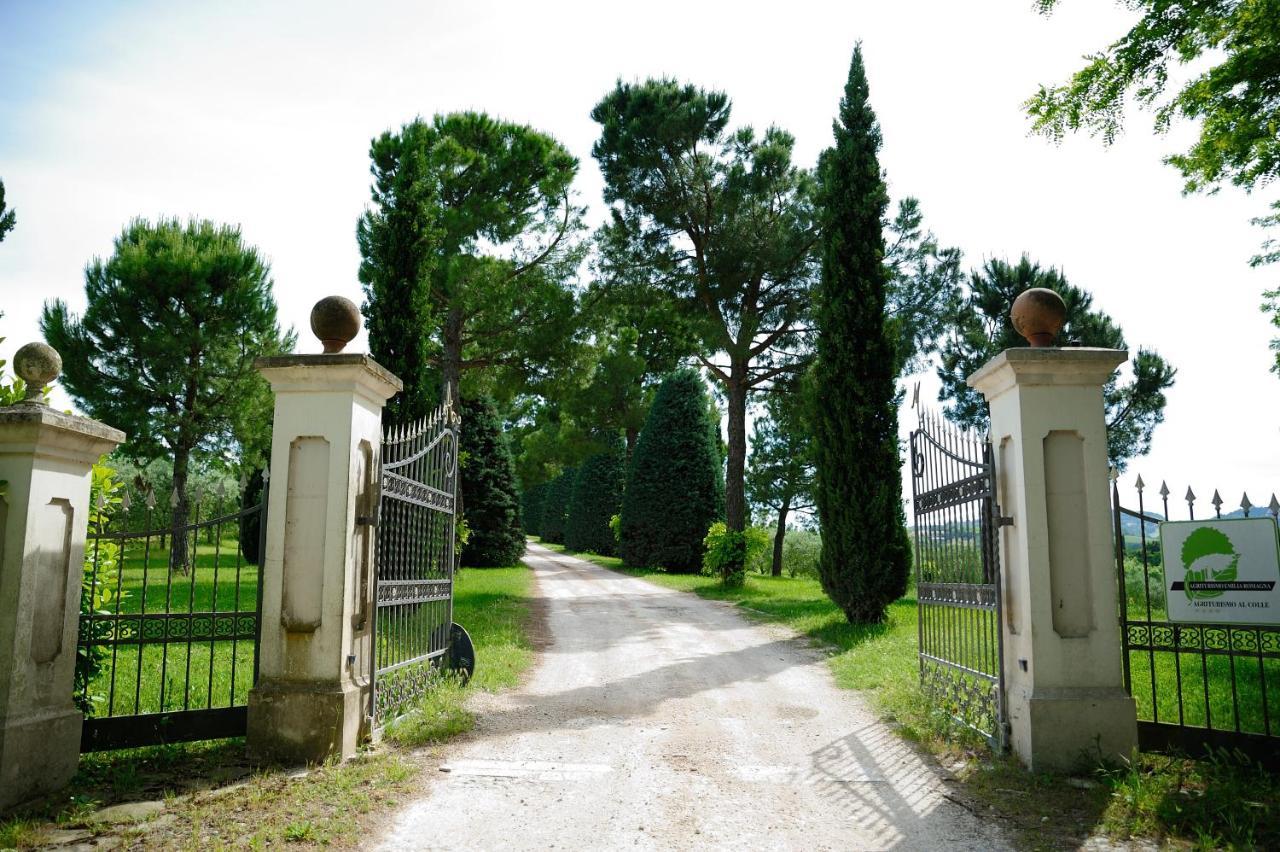 Agriturismo Al Colle Bertinoro Exterior photo